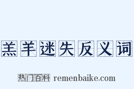 羔羊迷失反义词是什么意思的图片